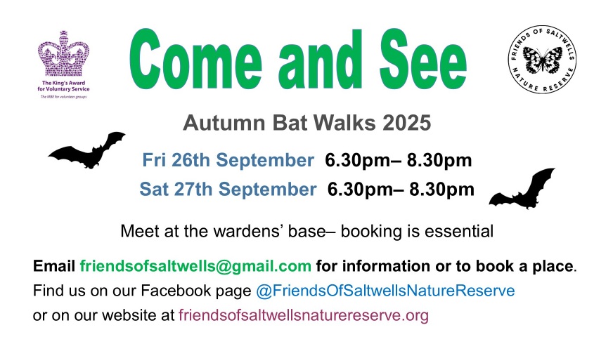 Friends of Saltwells Nature Reserve - Autumn Bat Walks